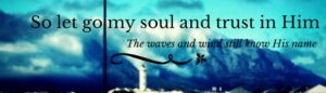 cropped-so-let-go-my-soul-and-trust-in-him