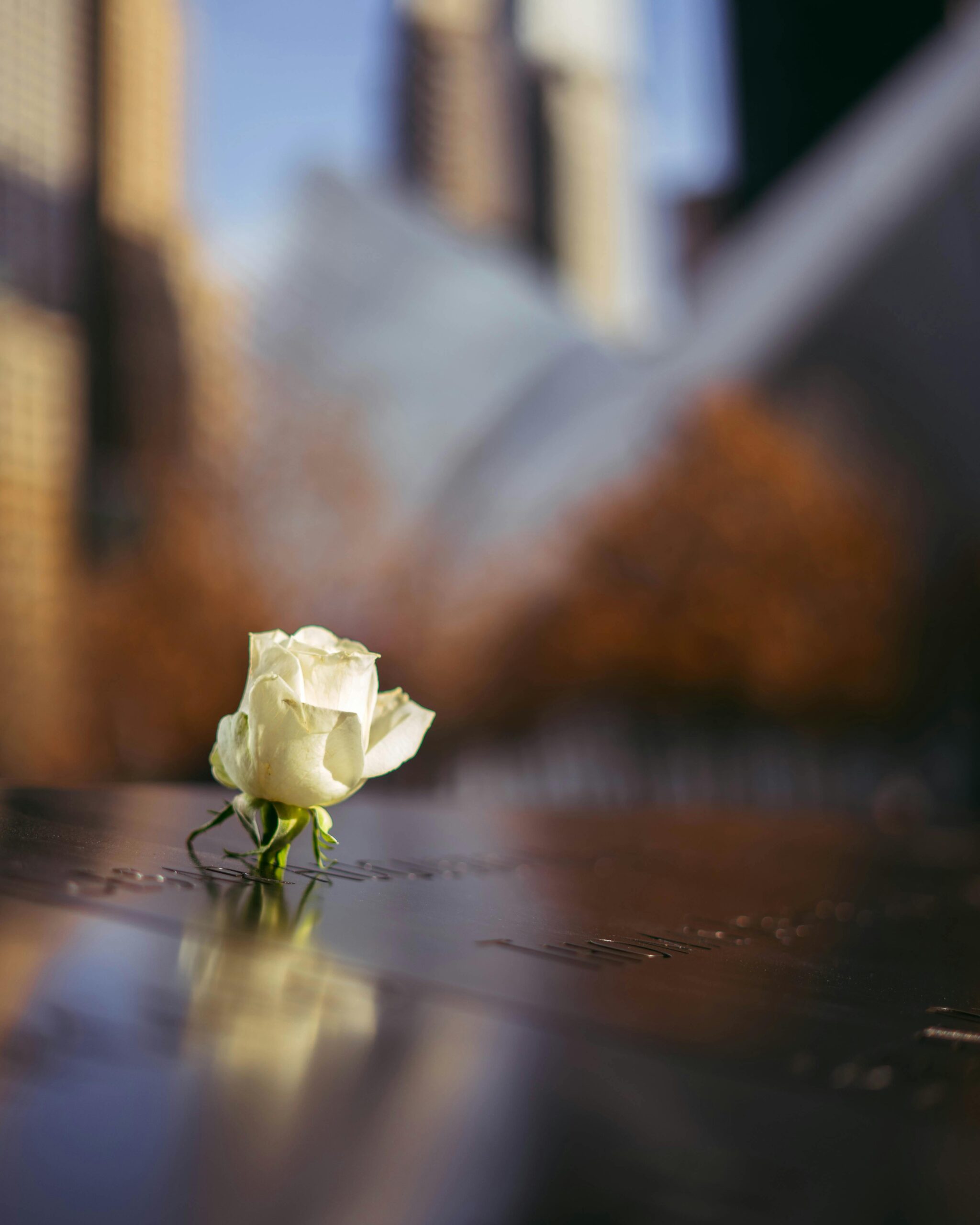 A poignant white rose placed on the 9/11 Memorial in New York City, capturing remembrance and reflection.